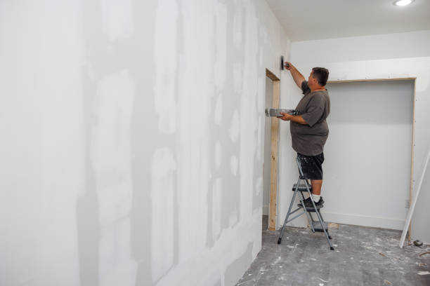 Best Drywall for Remodeling  in USA